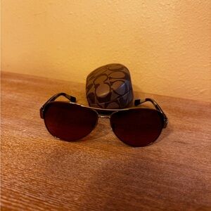 Women’s Brown Sunglasses with Case